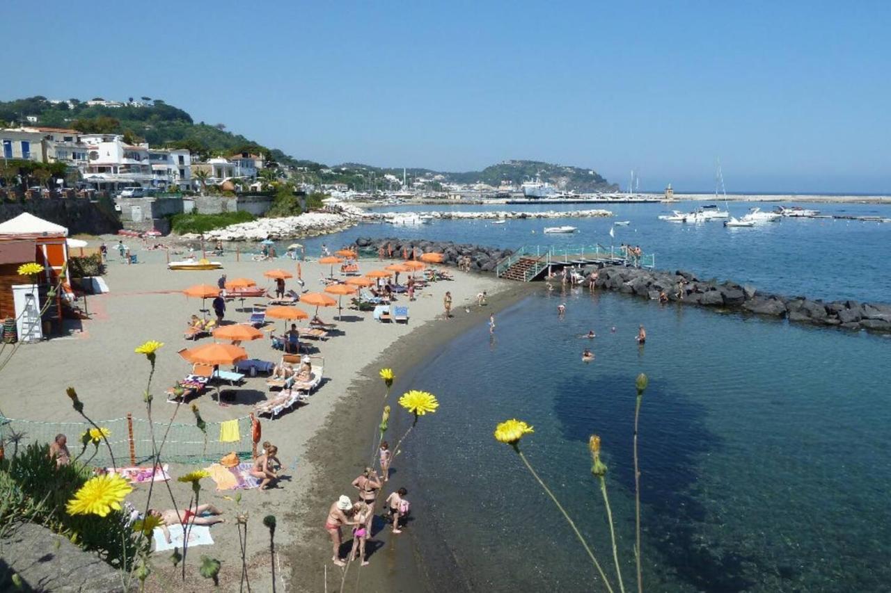La Terrazza Dell^Ippocampo #Seaview Apartment อีสเกีย ภายนอก รูปภาพ